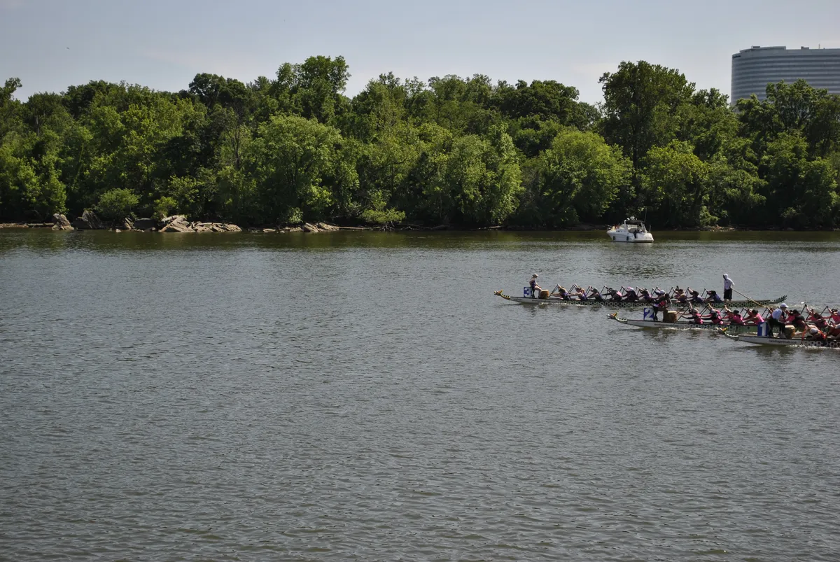 DC Dragon Boat Festival at Georgetown Waterfront Park